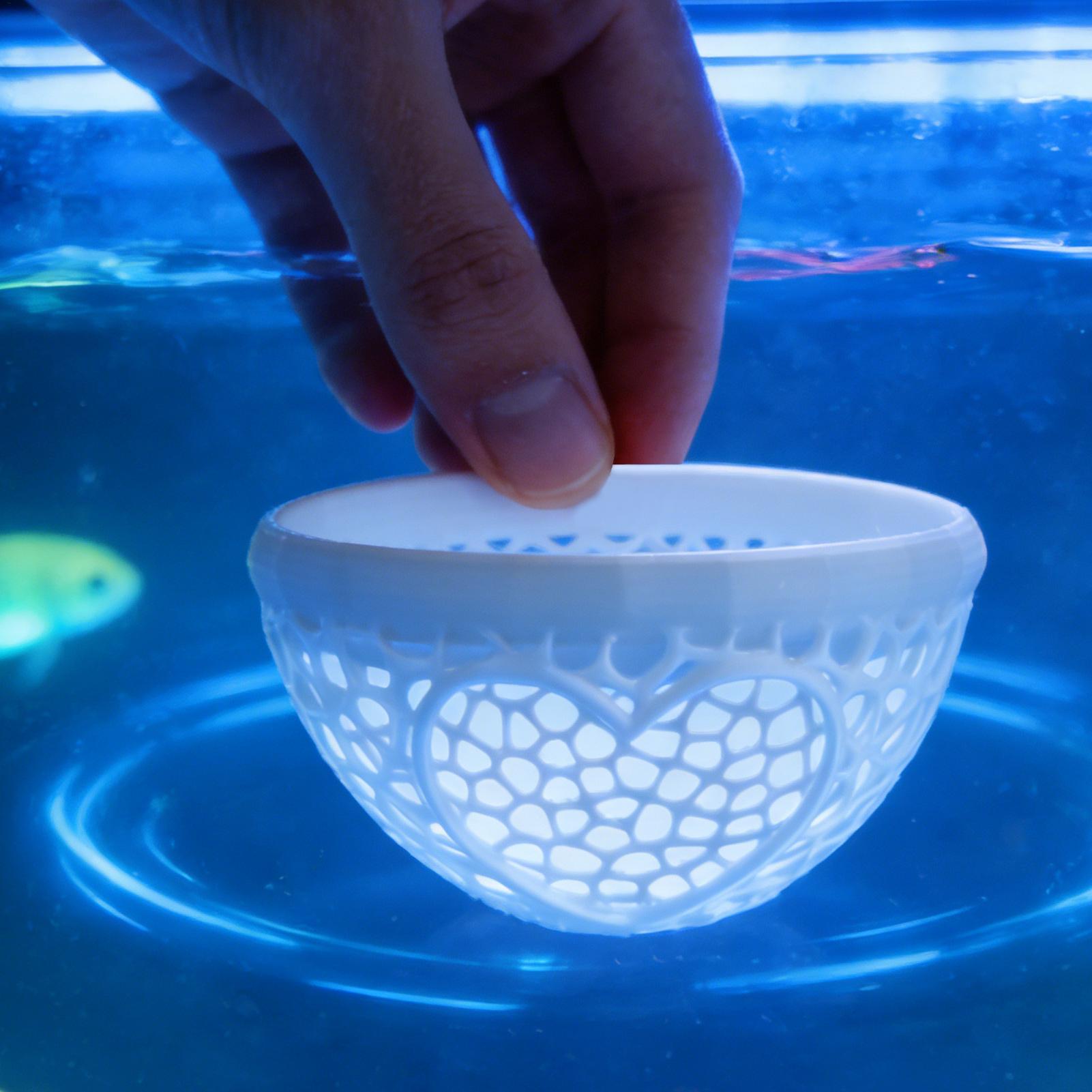 Planted Aquarium For Betta - Floating betta shelter Betta hammock Floating