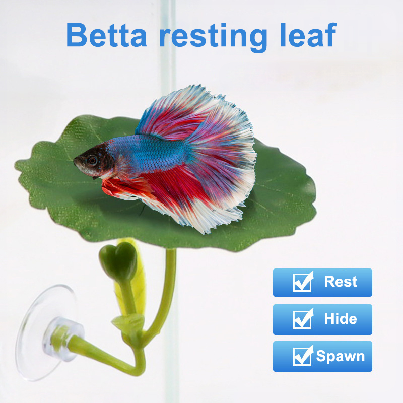 Planted Aquarium For Betta - 1 Pc Green Leaf Hammock For