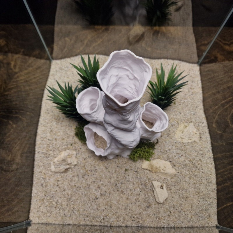 Planted Aquarium For Betta - Hot Sale 3D Printed Coral Tunnel