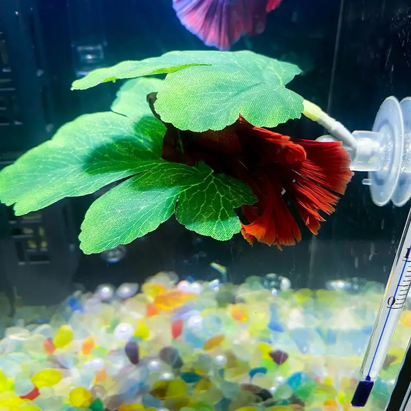 Planted Aquarium For Betta - Betta Fish Leaf Hammock Aquarium Decorative