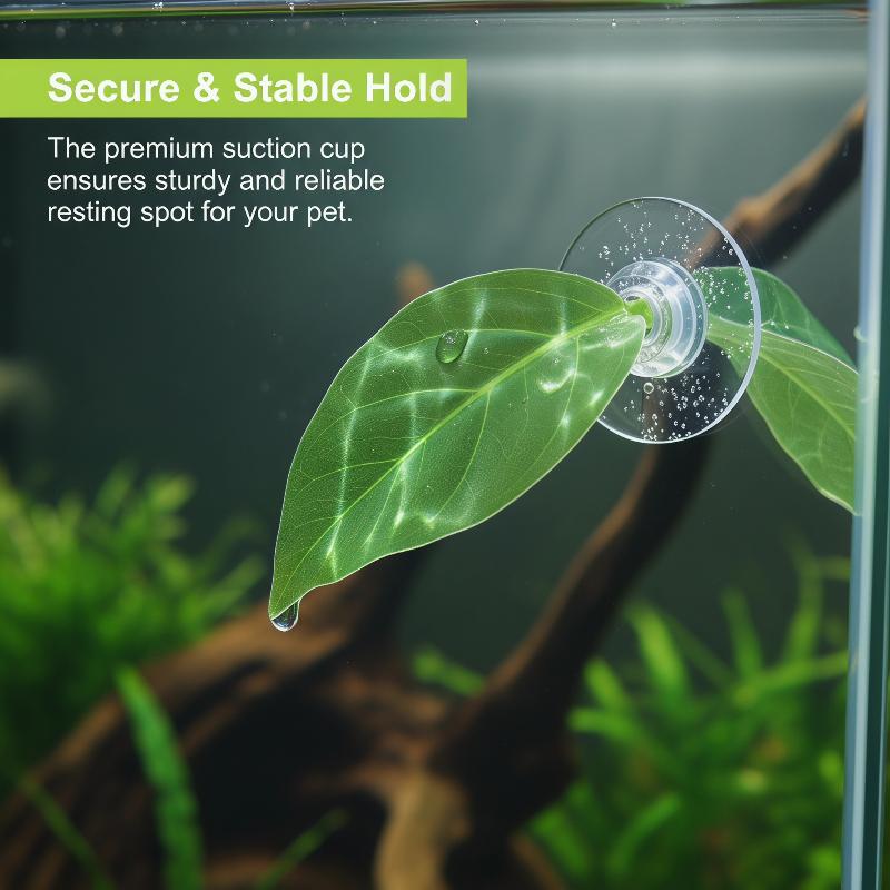 Planted Aquarium For Betta - Aquarium Accessories Fish Tank Betta Leaf