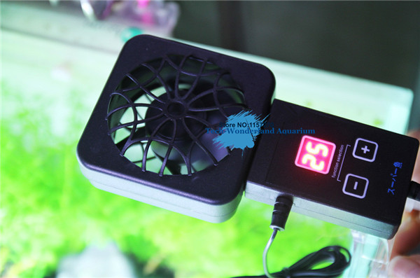 Aquarium Plant Delivery - Mini nano clip hang on cooling