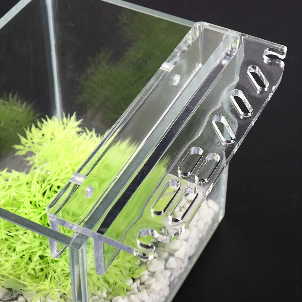 Planted Aquarium Maintenance - Cleaning Tool Accessories Storage Rack Aquarium
