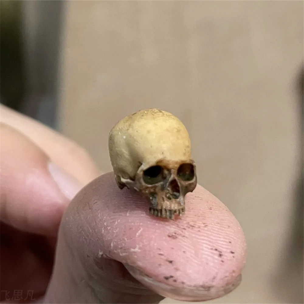 Aquarium Plant Display - Mini Skull High Quality Miniature Model