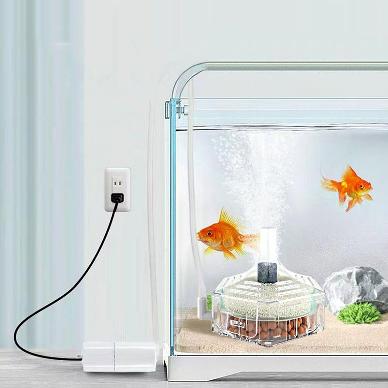 Super Thin Aquarium Fish Tank  - Aquarium Planted Filter ulasan dan harga