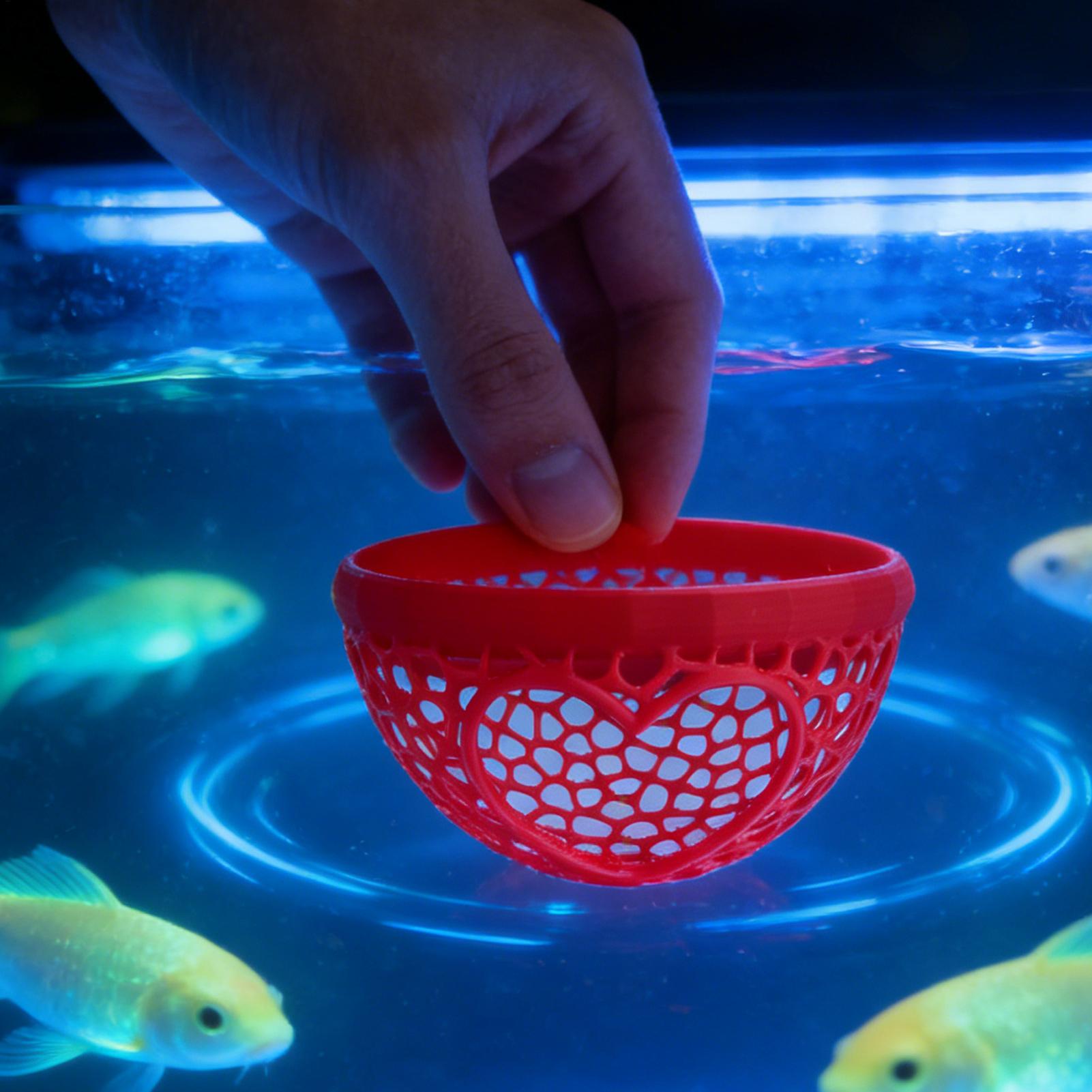 Floating betta shelter Betta h - Planted Aquarium For Betta ulasan dan harga