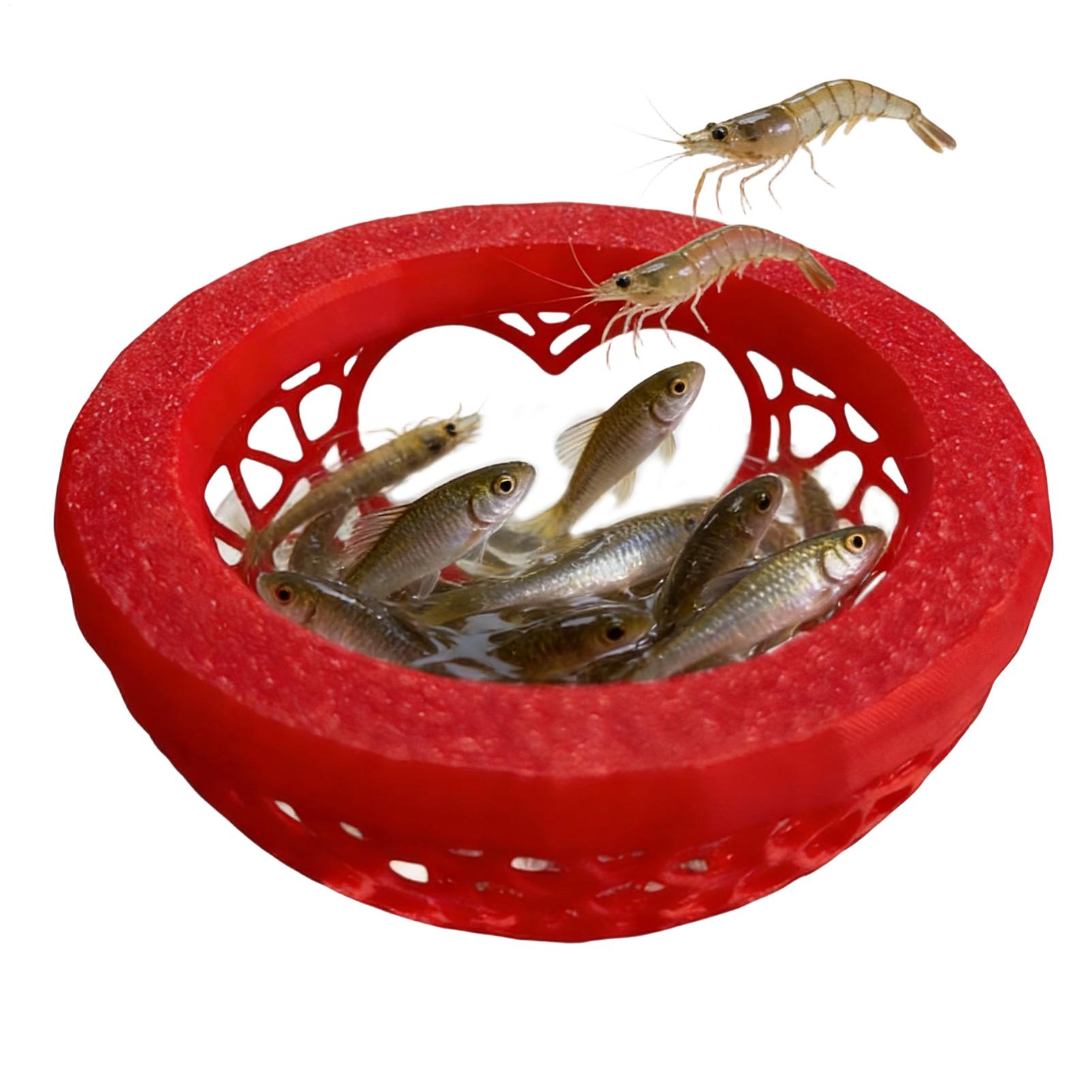 Floating betta shelter Betta h - Planted Aquarium For Betta ulasan dan harga