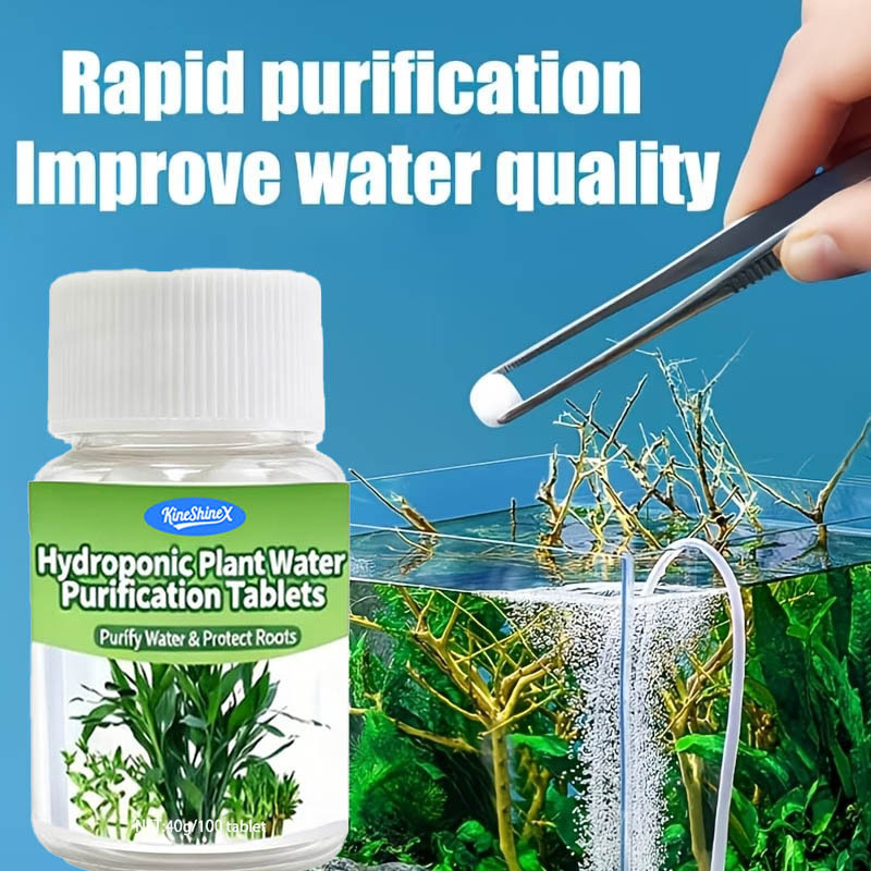 Hydroponic Water Purification  - Aquarium Plant Delivery ulasan dan harga