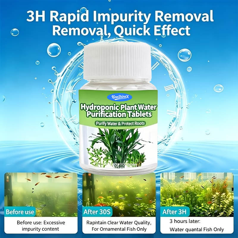 Hydroponic Water Purification  - Aquarium Plant Delivery ulasan dan harga