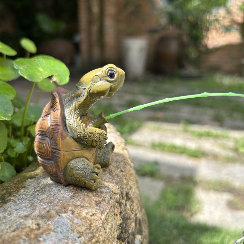 Turtle fishing fish tank aquar - Aquarium Planting Ideas ulasan dan harga
