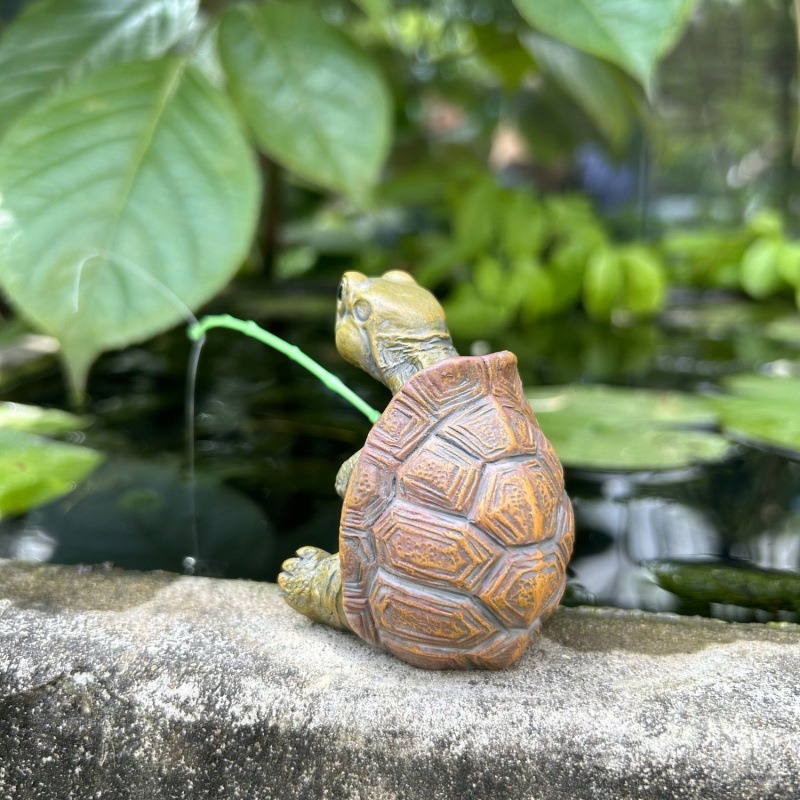 Turtle fishing fish tank aquar - Aquarium Planting Ideas ulasan dan harga