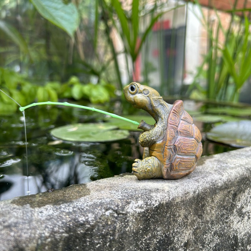 Turtle fishing fish tank aquar - Aquarium Planting Ideas ulasan dan harga