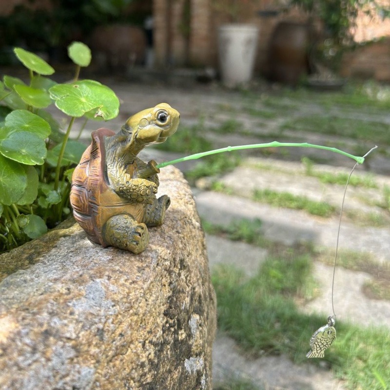 Turtle fishing fish tank aquar - Aquarium Planting Ideas ulasan dan harga