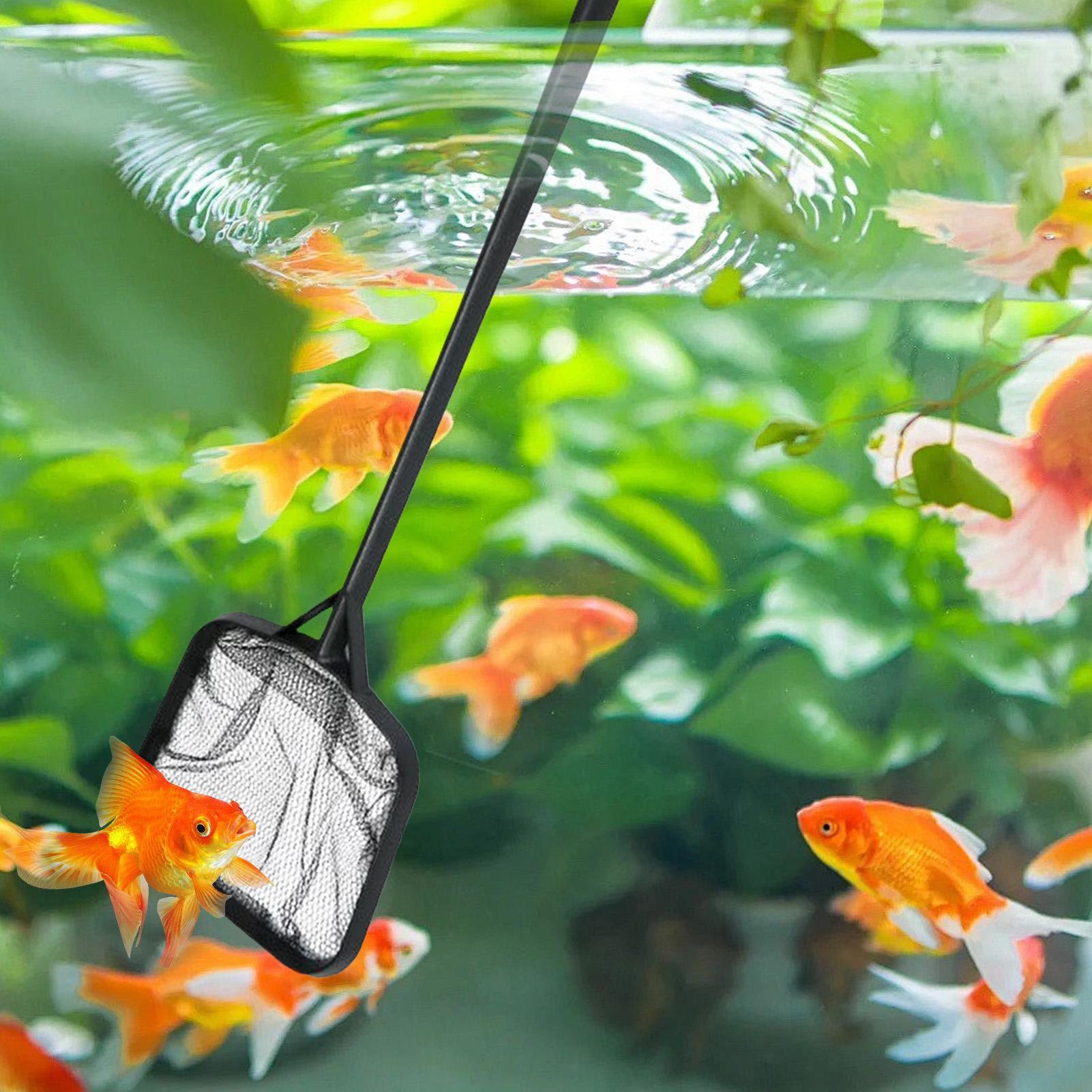 Pool Nets for Cleaning Portabl - Planted Aquarium Cleaning ulasan dan harga