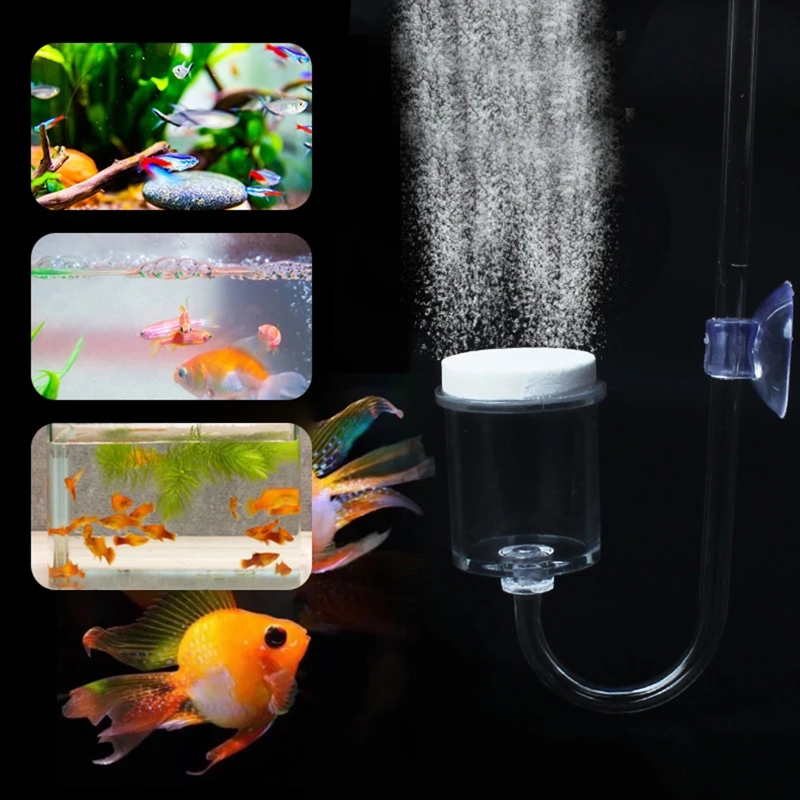 4pcs Set DIY CO2 Diffuser For  - Planted Aquarium Maintenance ulasan dan harga