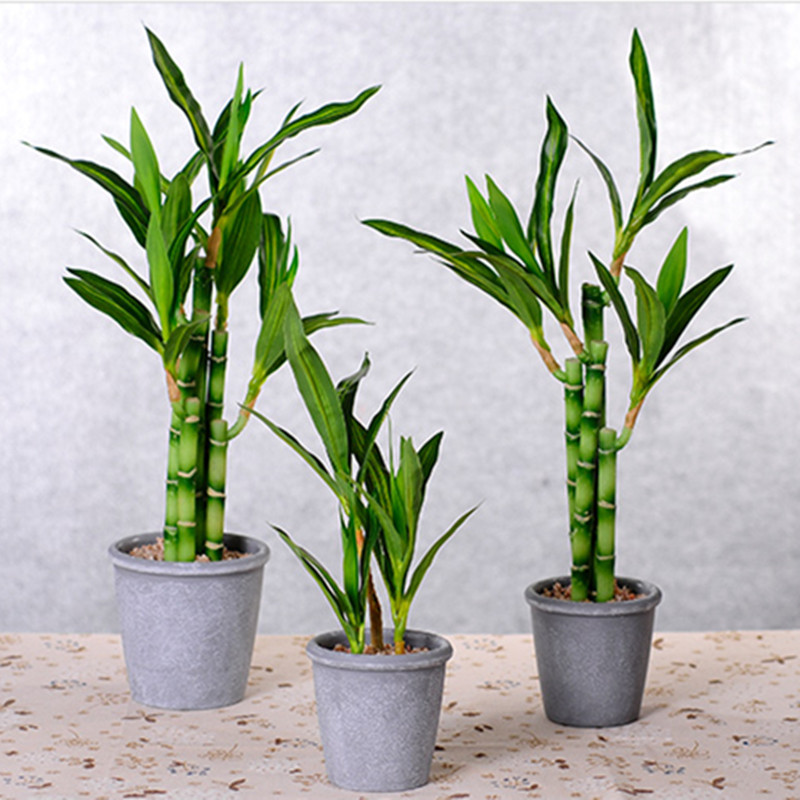 New 40cm rFtificial Lucky Bamb - Aquarium Plant Display ulasan dan harga