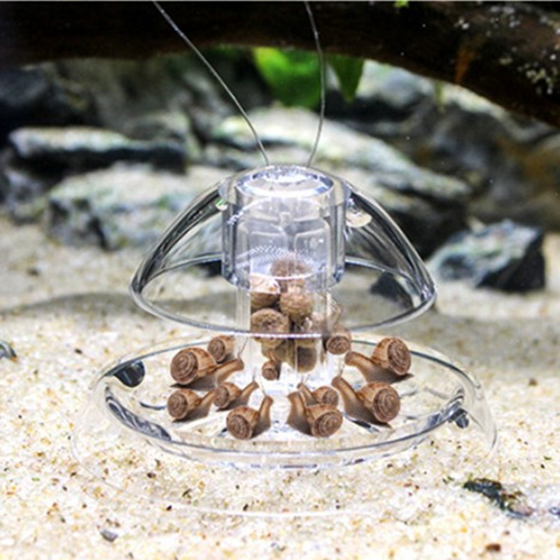 1PCS Fish Tank Aquarium Cleane - Planted Aquarium Cleaning ulasan dan harga