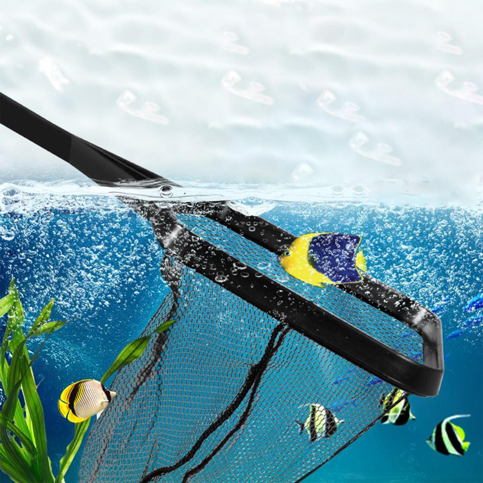 Pool Net Fish Tank Salvage Net - Planted Aquarium Cleaning ulasan dan harga
