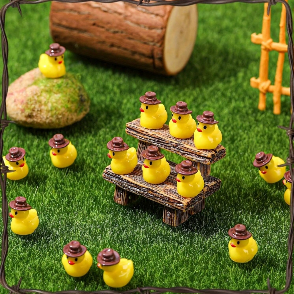 50Pcs Mini Resin Cowboy Ducks  - Aquarium Planting Ideas ulasan dan harga