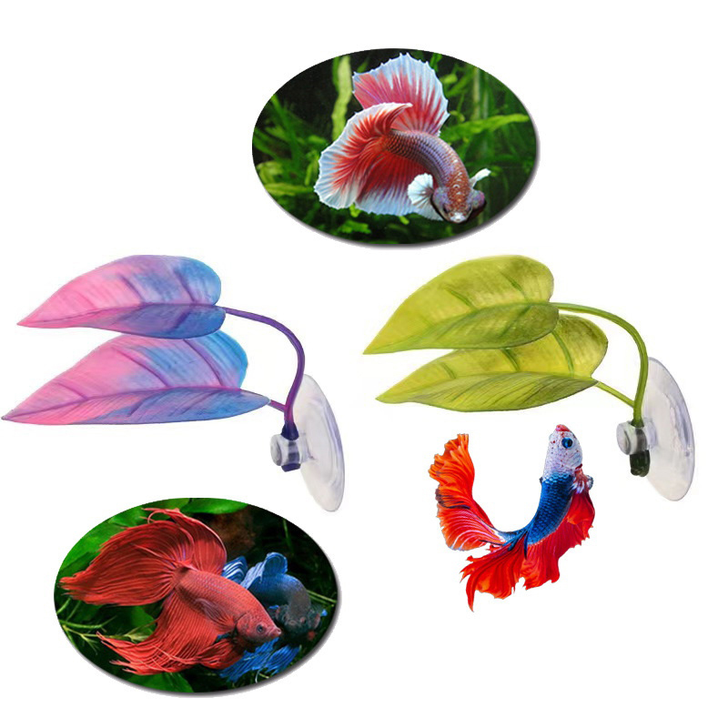 Artificial Aquatic Plant Aquar - Planted Aquarium For Betta ulasan dan harga