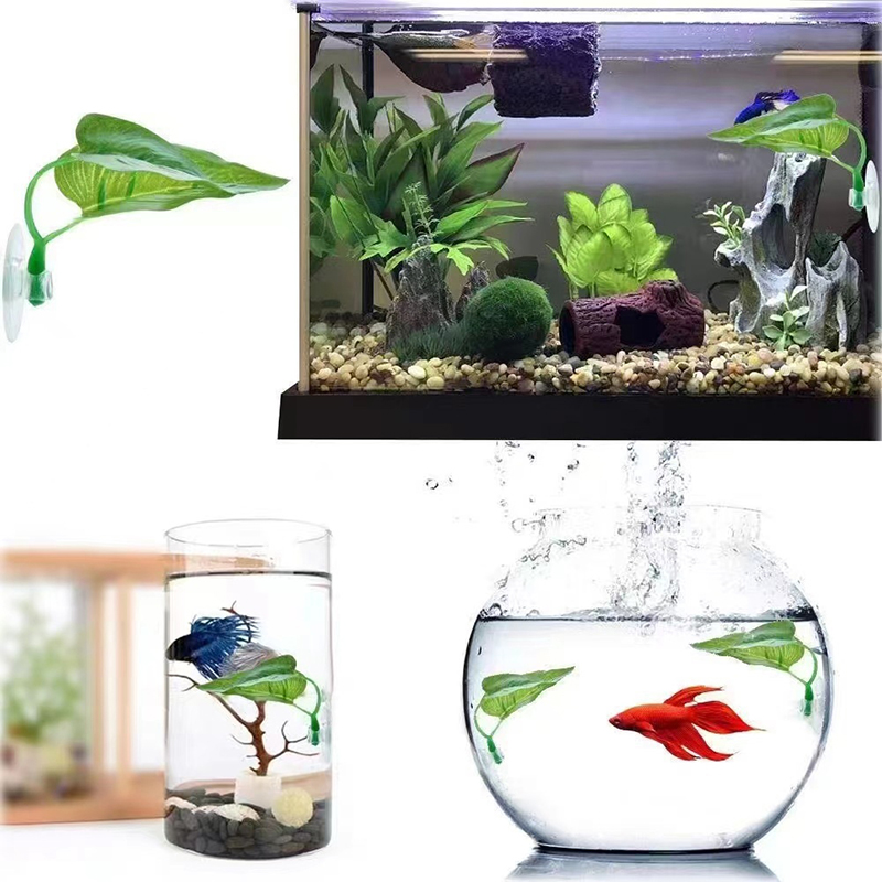 Artificial Aquatic Plant Aquar - Planted Aquarium For Betta ulasan dan harga