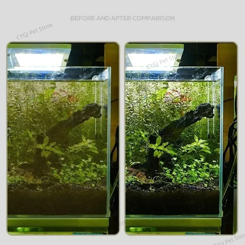 Fish Tank Cleaning Tool Flat S - Planted Aquarium Tool Kit ulasan dan harga