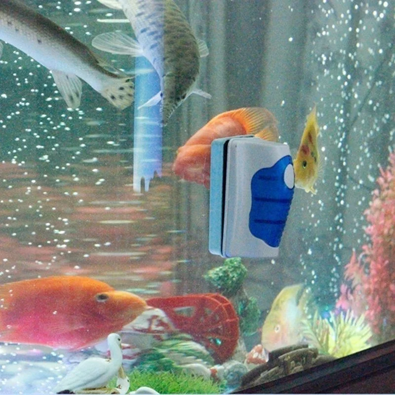 Fish Tank Glass Scraper Cleane - Planted Aquarium Cleaning ulasan dan harga
