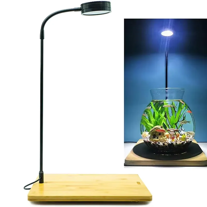 Full Spectrum LED Light with B - Planted Aquarium For Betta ulasan dan harga