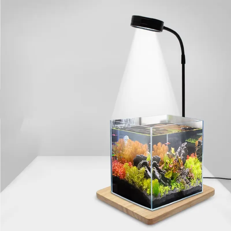 Full Spectrum LED Light with B - Planted Aquarium For Betta ulasan dan harga