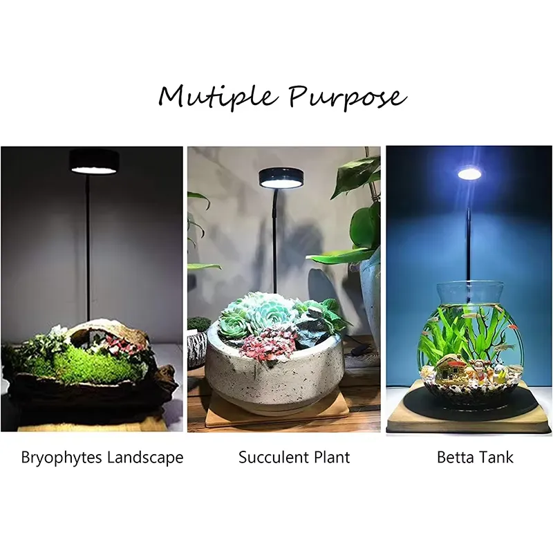 Full Spectrum LED Light with B - Planted Aquarium For Betta ulasan dan harga