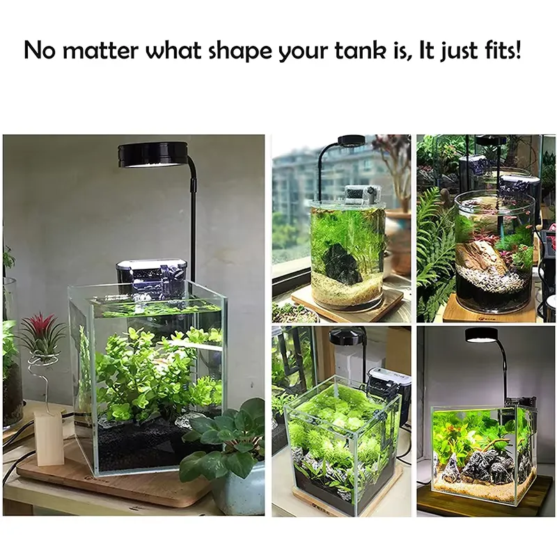 Full Spectrum LED Light with B - Planted Aquarium For Betta ulasan dan harga