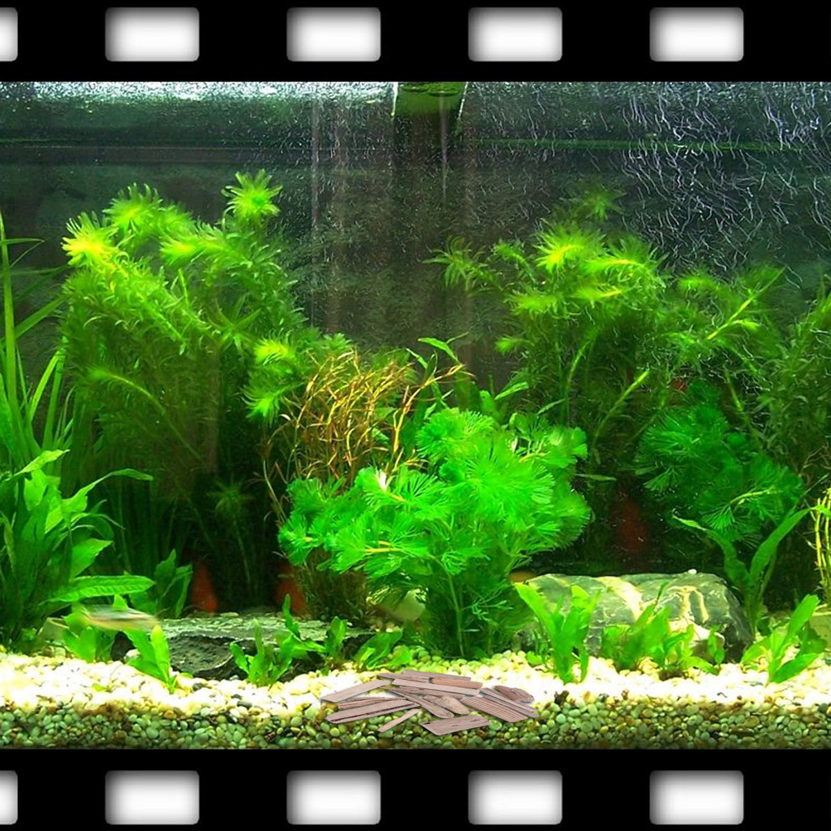 30Pcs Driftwood Fish Tank Deco - Planted Aquarium Ph ulasan dan harga
