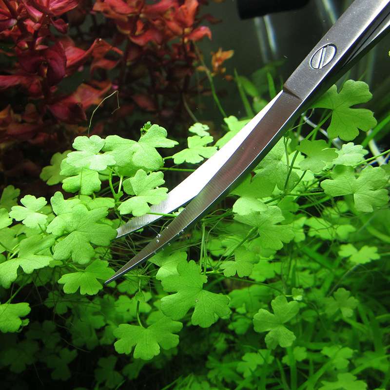 Aquarium Accessories Hard Stai - Planted Aquarium Tool Kit ulasan dan harga