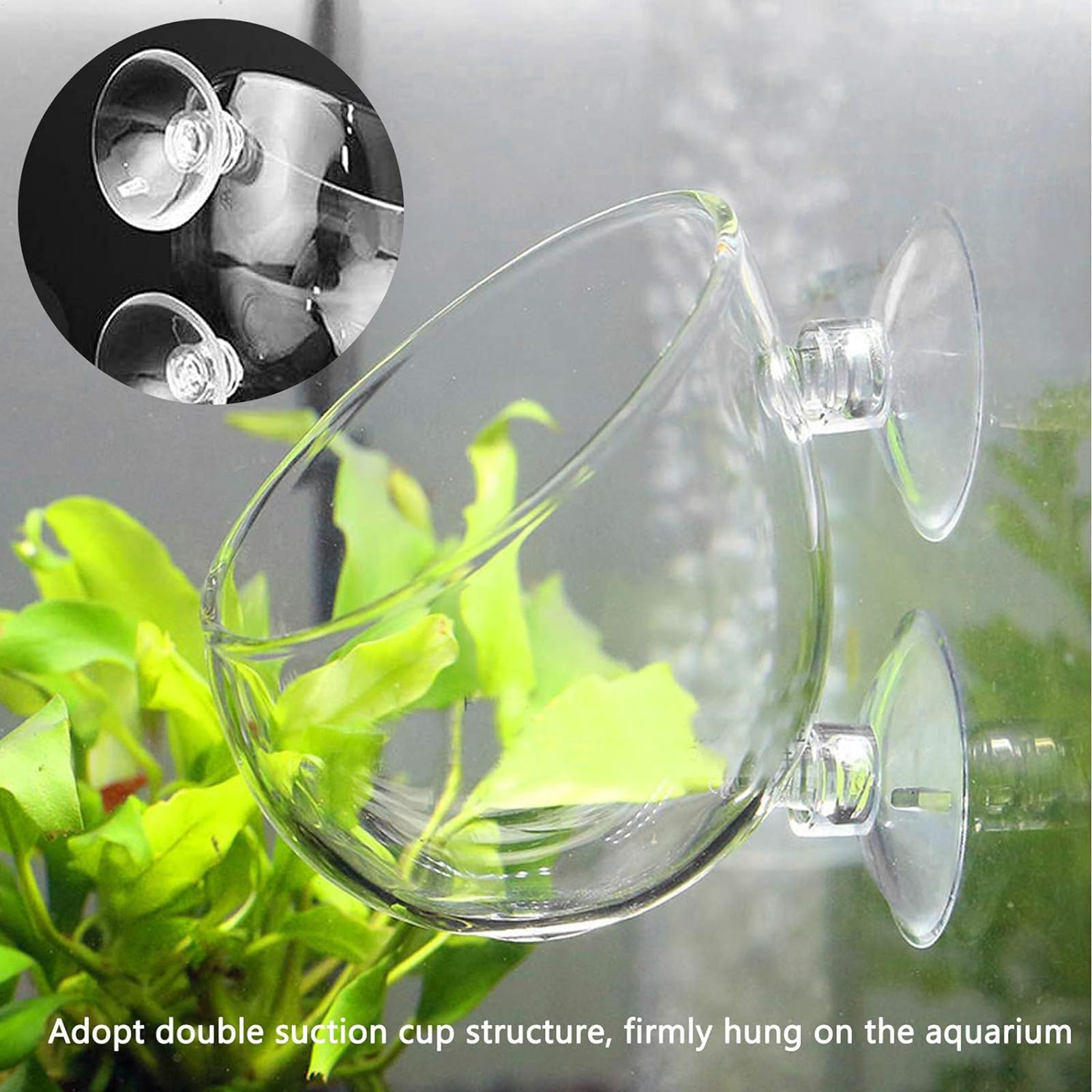 Aquarium Glass Plant Pot with  - Planted Aquarium Maintenance ulasan dan harga