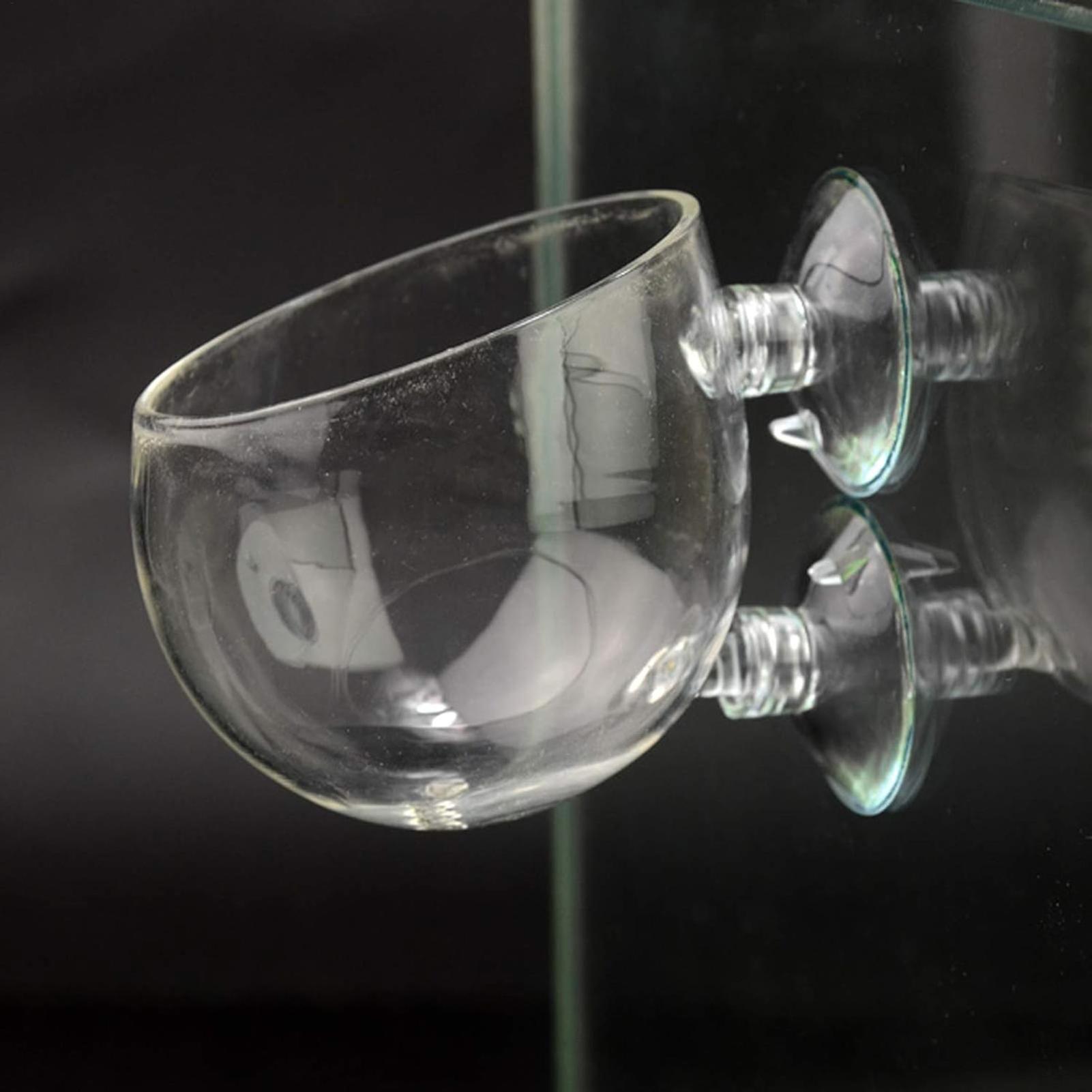 Aquarium Glass Plant Pot with  - Planted Aquarium Maintenance ulasan dan harga