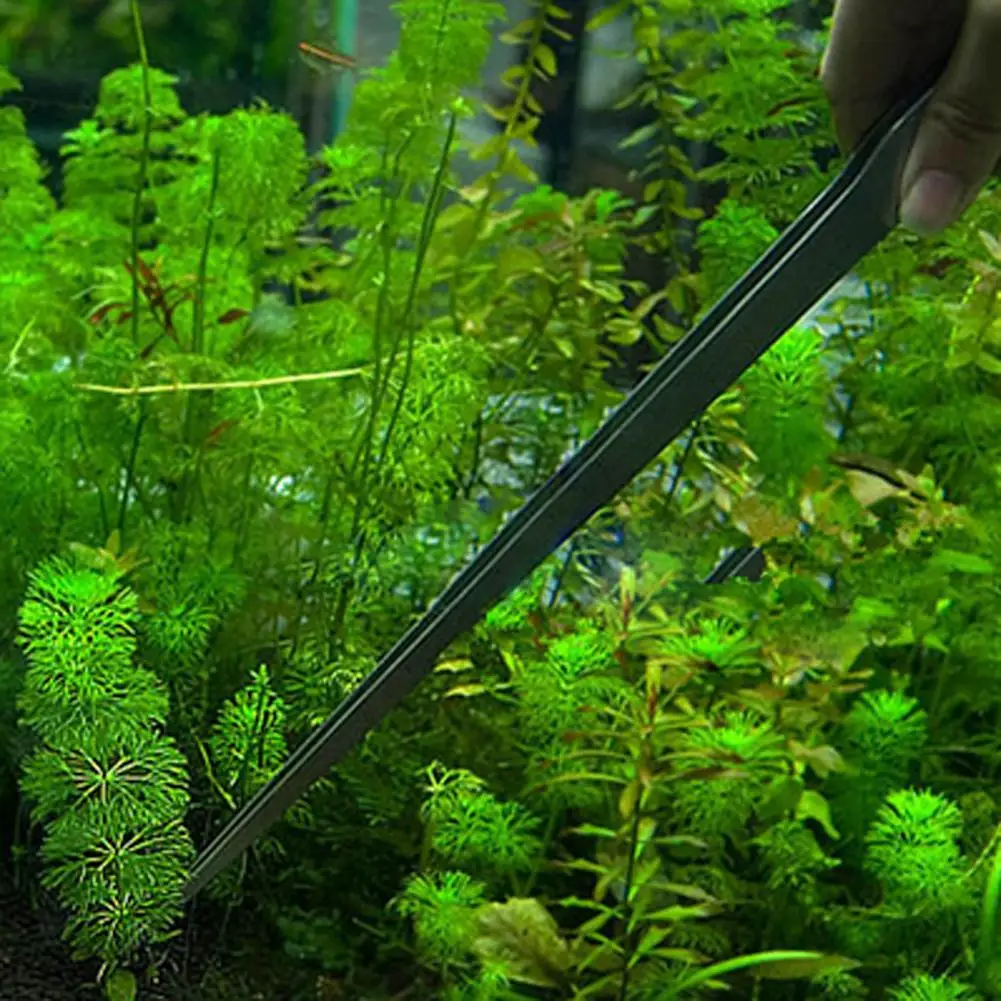 Universal 27CM Aquarium Plant  - Planted Aquarium Maintenance ulasan dan harga