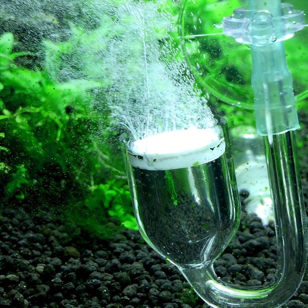 Aquarium Glass CO2 Atomizer Di - Aquarium Plant Delivery ulasan dan harga