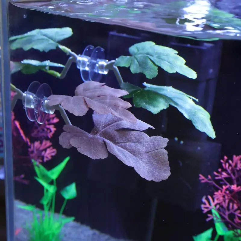 Betta Fish Leaf Hammock Aquari - Planted Aquarium For Betta ulasan dan harga