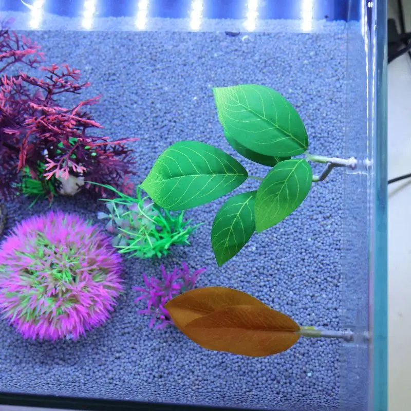 Betta Fish Leaf Hammock Aquari - Planted Aquarium For Betta ulasan dan harga