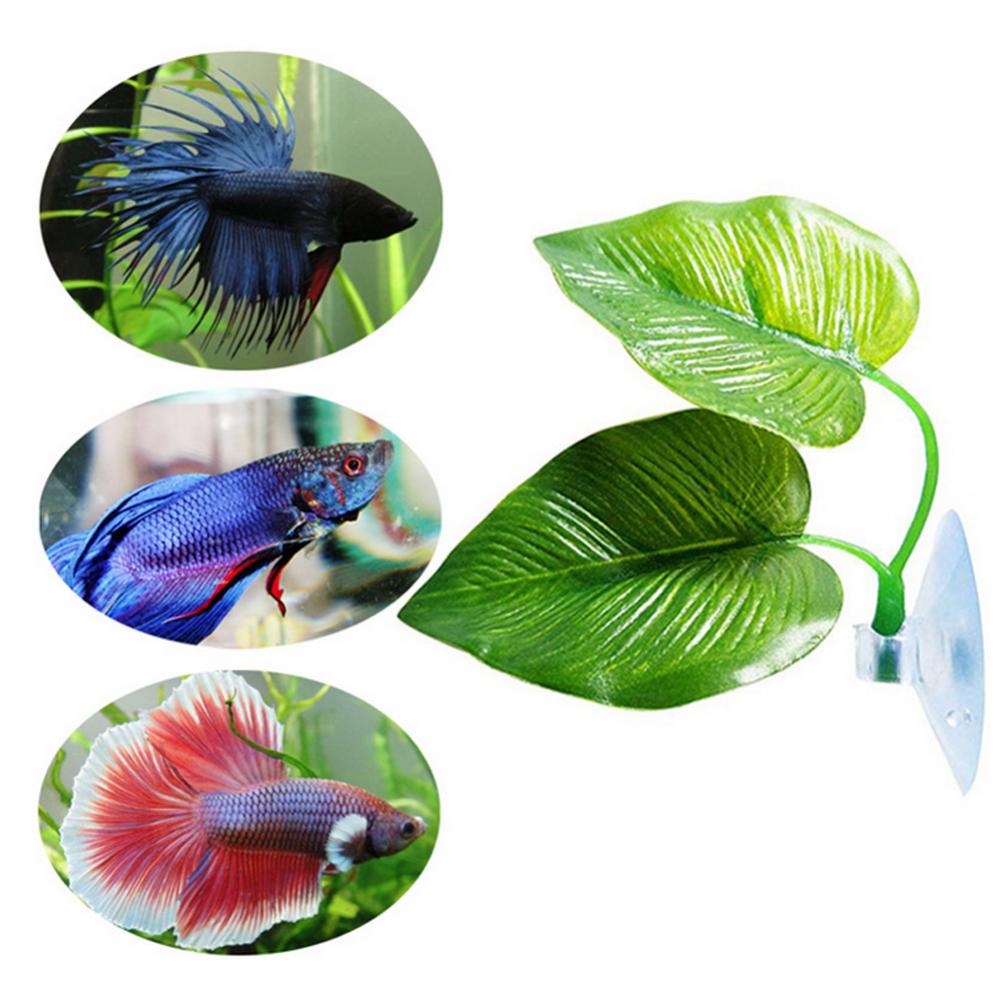 Artificial Plant Leaf Betta Ha - Planted Aquarium For Betta ulasan dan harga