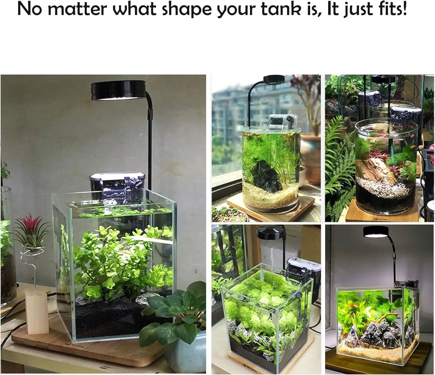 LED Aquarium Grow Light with B - Planted Aquarium For Betta ulasan dan harga