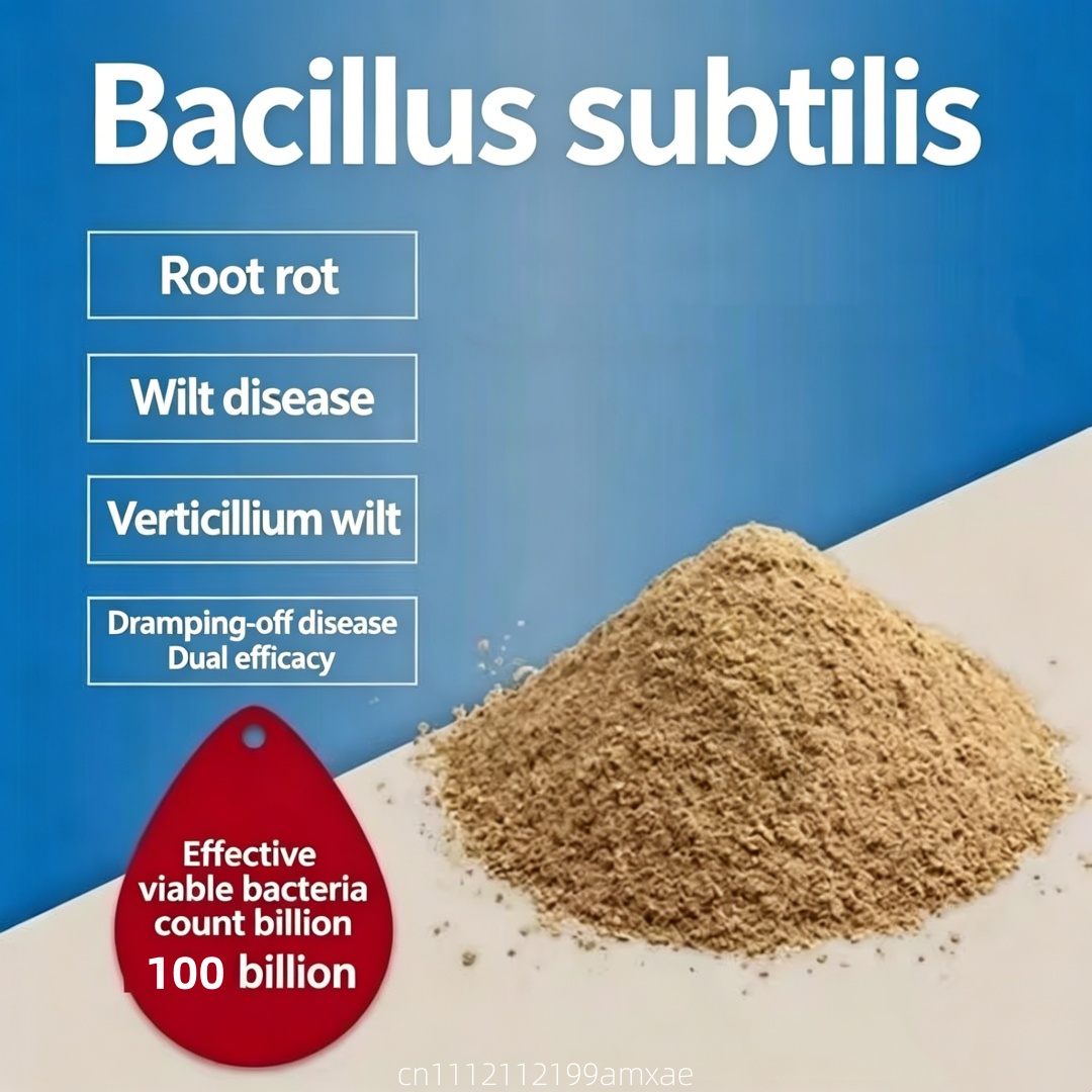 High Activity Bacillus Subtili - Aquarium Plant Fertilizer ulasan dan harga