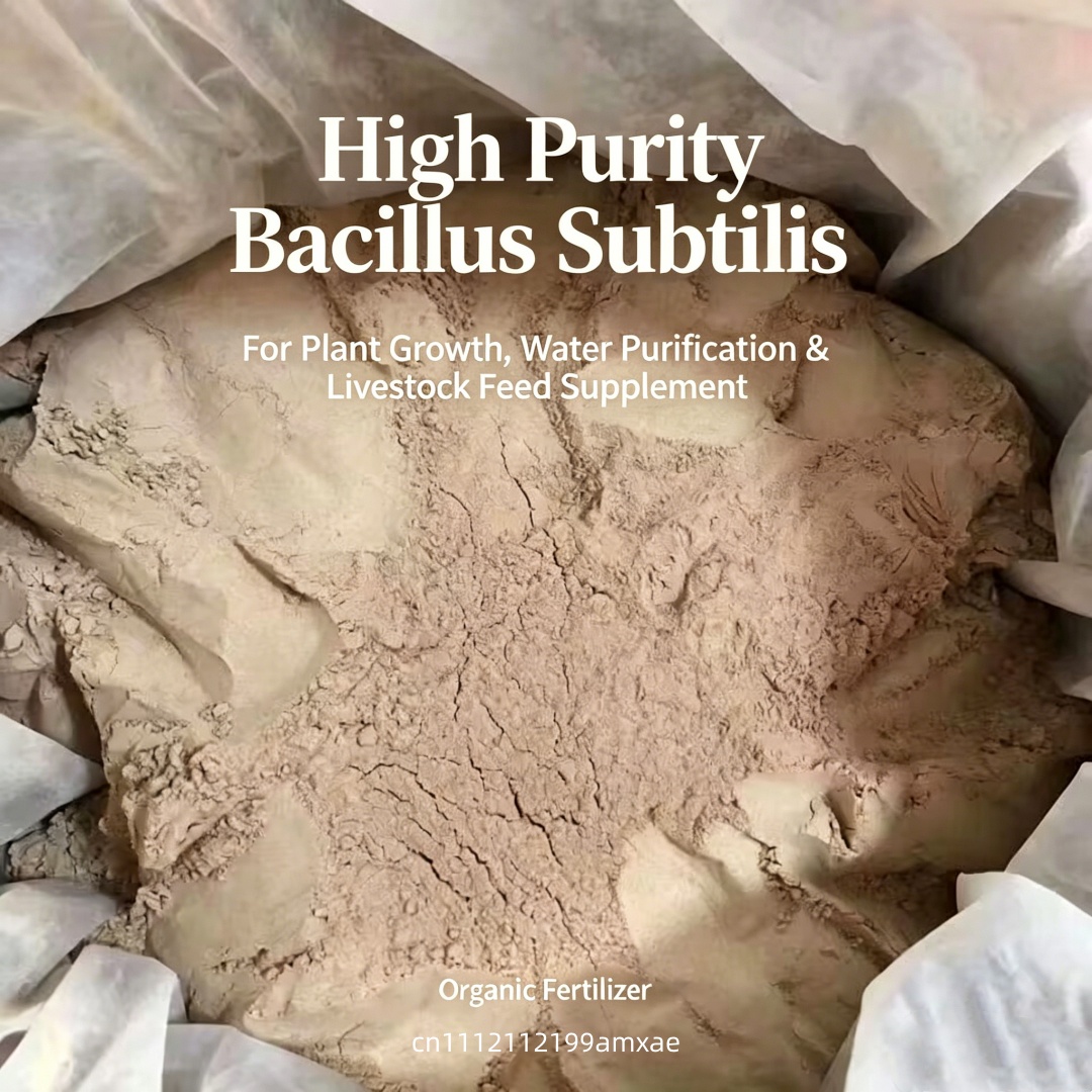 High Activity Bacillus Subtili - Aquarium Plant Fertilizer ulasan dan harga