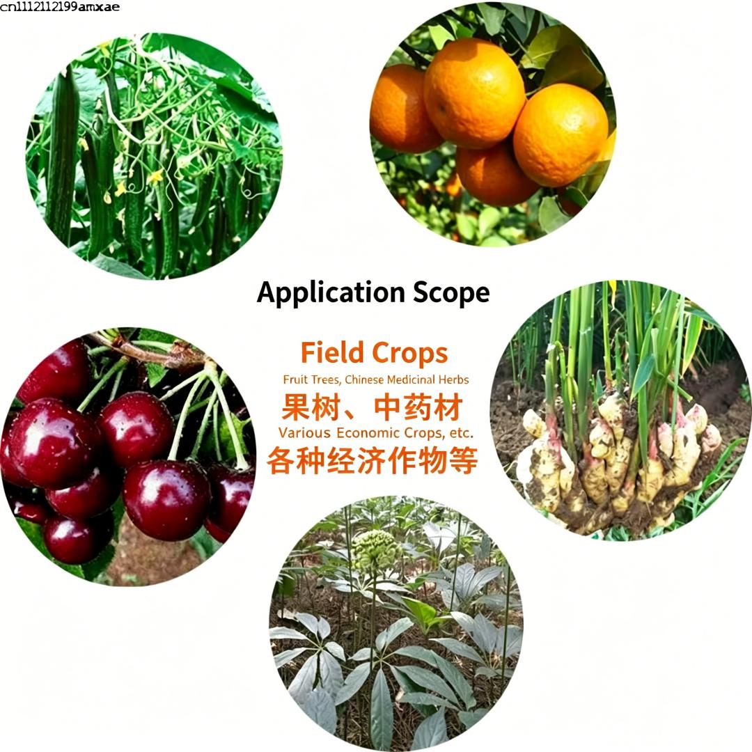 High Activity Bacillus Subtili - Aquarium Plant Fertilizer ulasan dan harga