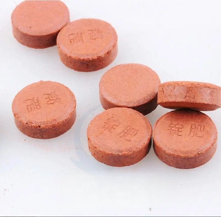 36pcs Aquarium Fish Water Plan - Aquarium Plant Fertilizer ulasan dan harga