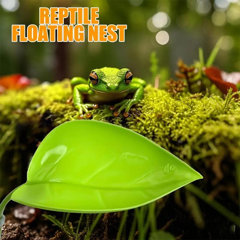 Aquarium Accessories Fish Tank - Planted Aquarium For Betta ulasan dan harga