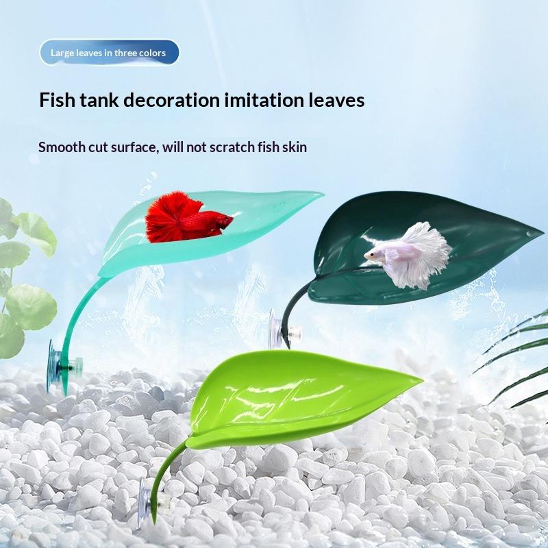 Aquarium Accessories Fish Tank - Planted Aquarium For Betta ulasan dan harga