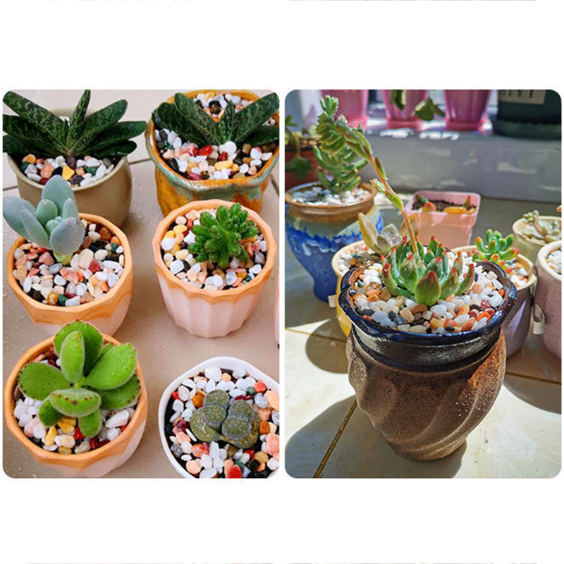 Fish Tank Bottom Sand DIY Acce - Aquarium Plant Gravel ulasan dan harga