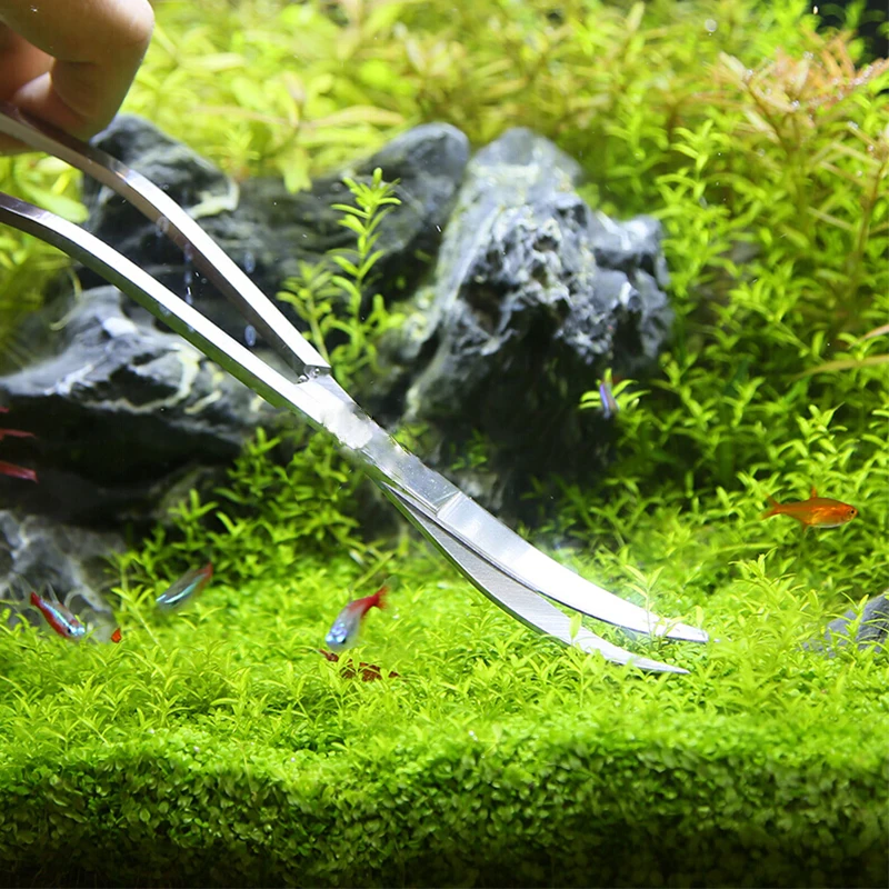 Aquarium Scissor Tools Fish Ta - Planted Aquarium Tool Kit ulasan dan harga