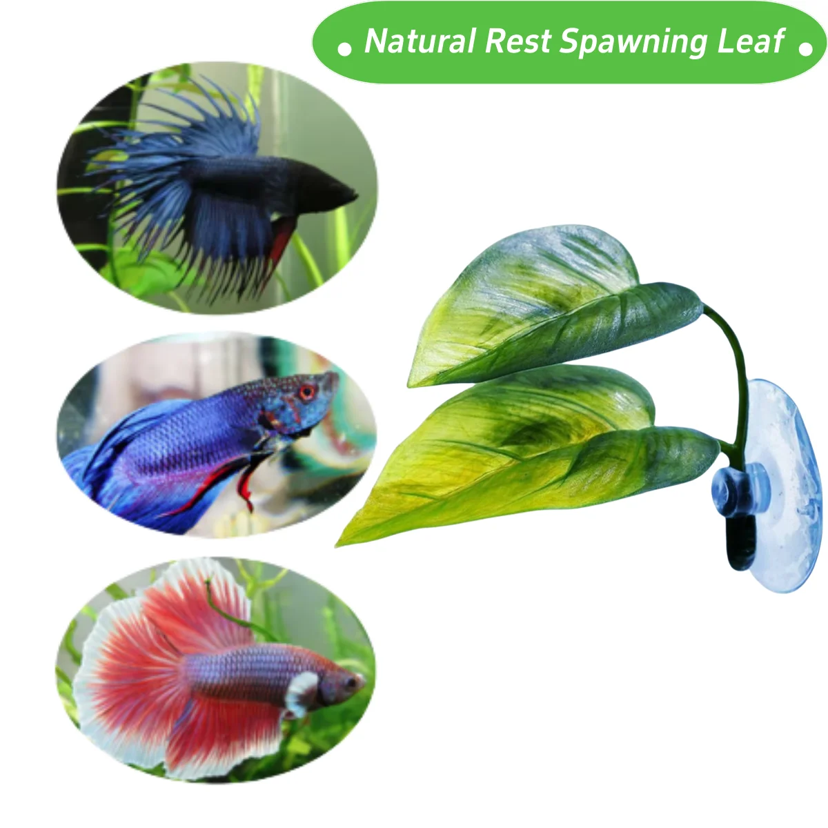Pets Fish Tank Decor Betta Rel - Planted Aquarium For Betta ulasan dan harga